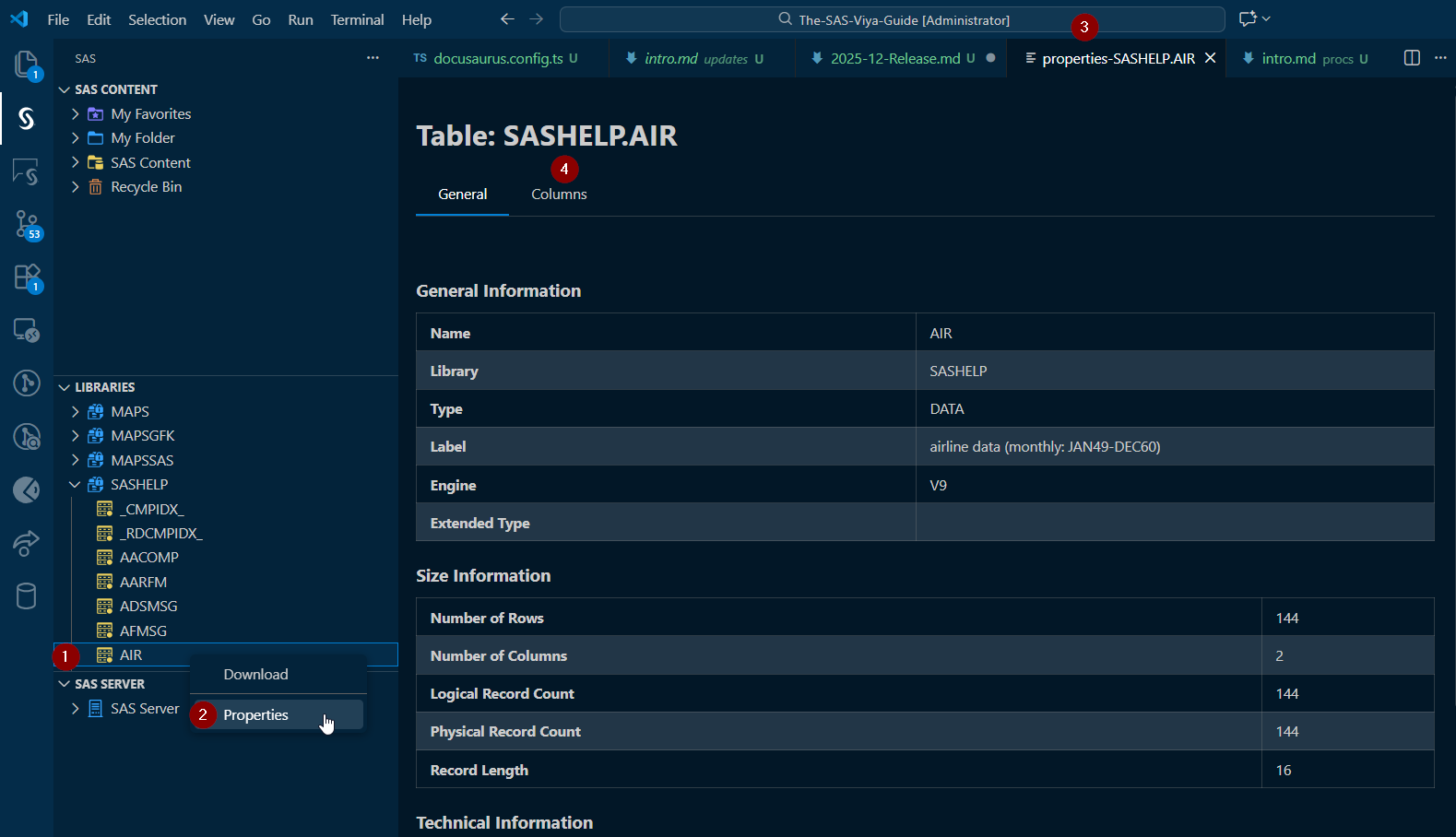 SAS VSCode Extension Dataset Properties